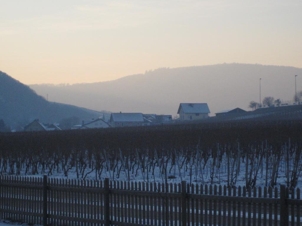 Moselschön Das Ferienhaus Brodenbach Zimmer foto